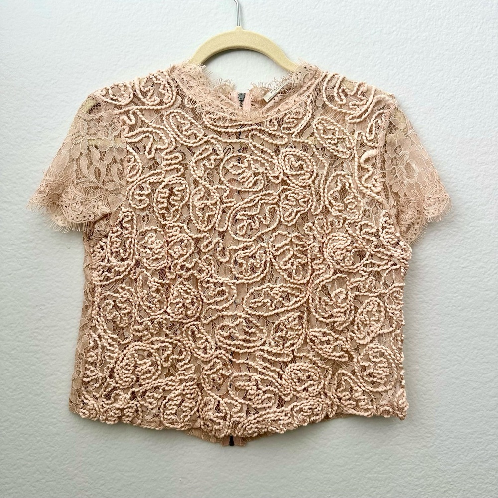 ZARA NWT Delicate Pink Lace Crochet Top zipper back - size M